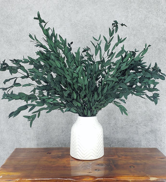 Preserved Parvifolia Eucalyptus [Green] - BLOOMINGFUL - wedding, event, decor, gift, bouquet, arrangement, bridal, garland, fresh dried preserved artificial silk, birthday housewarming foliage