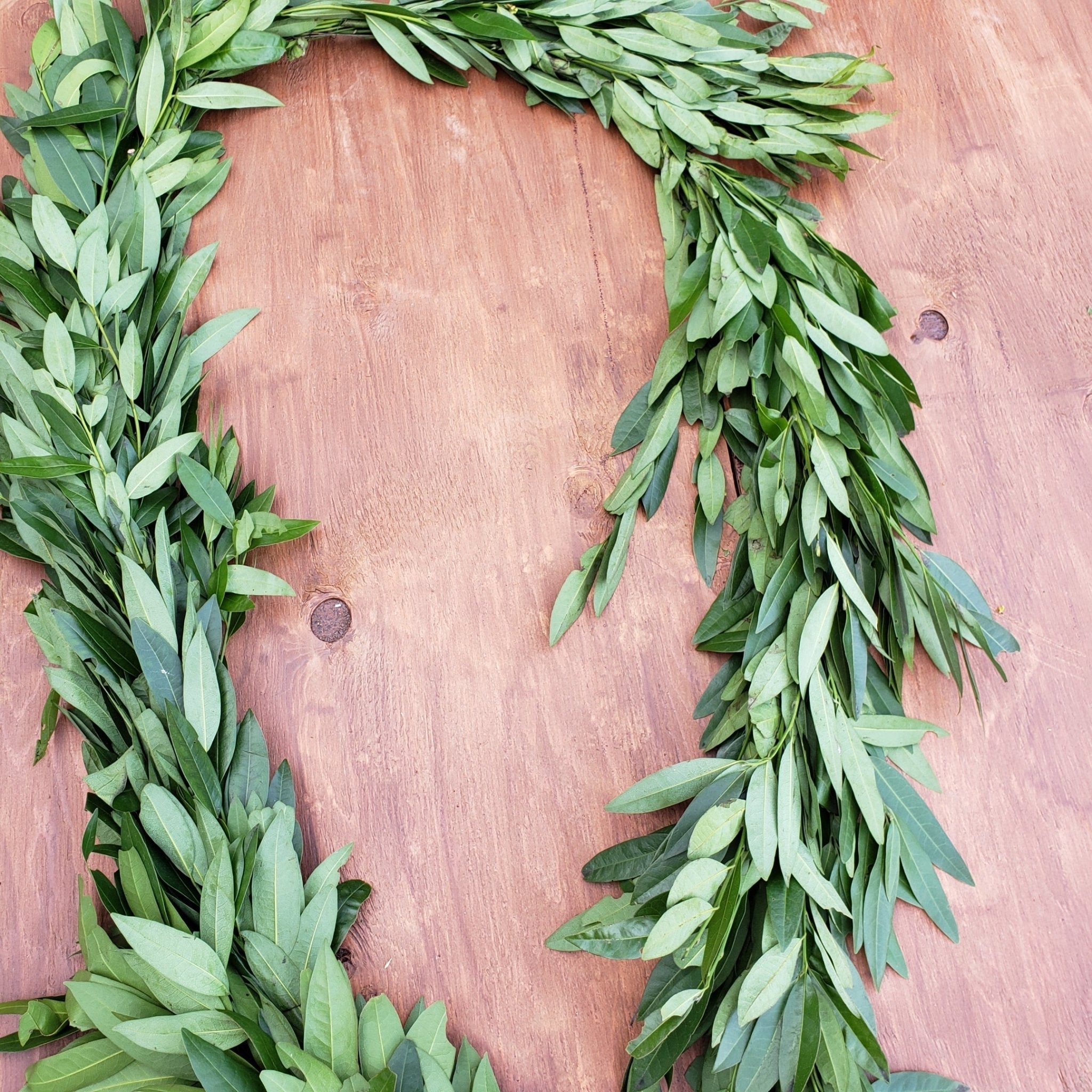 Bay Leaf Garland for Tables, Kitchens, and Events