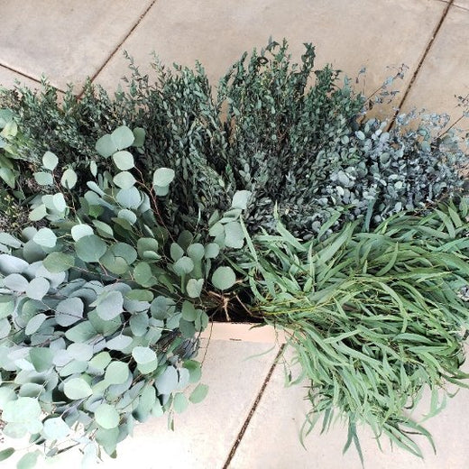 All Greenery + Foliage