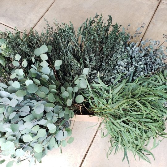 Foliage + Greenery