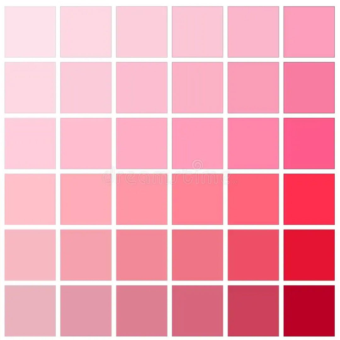 Pinks - BLOOMINGFUL.COM