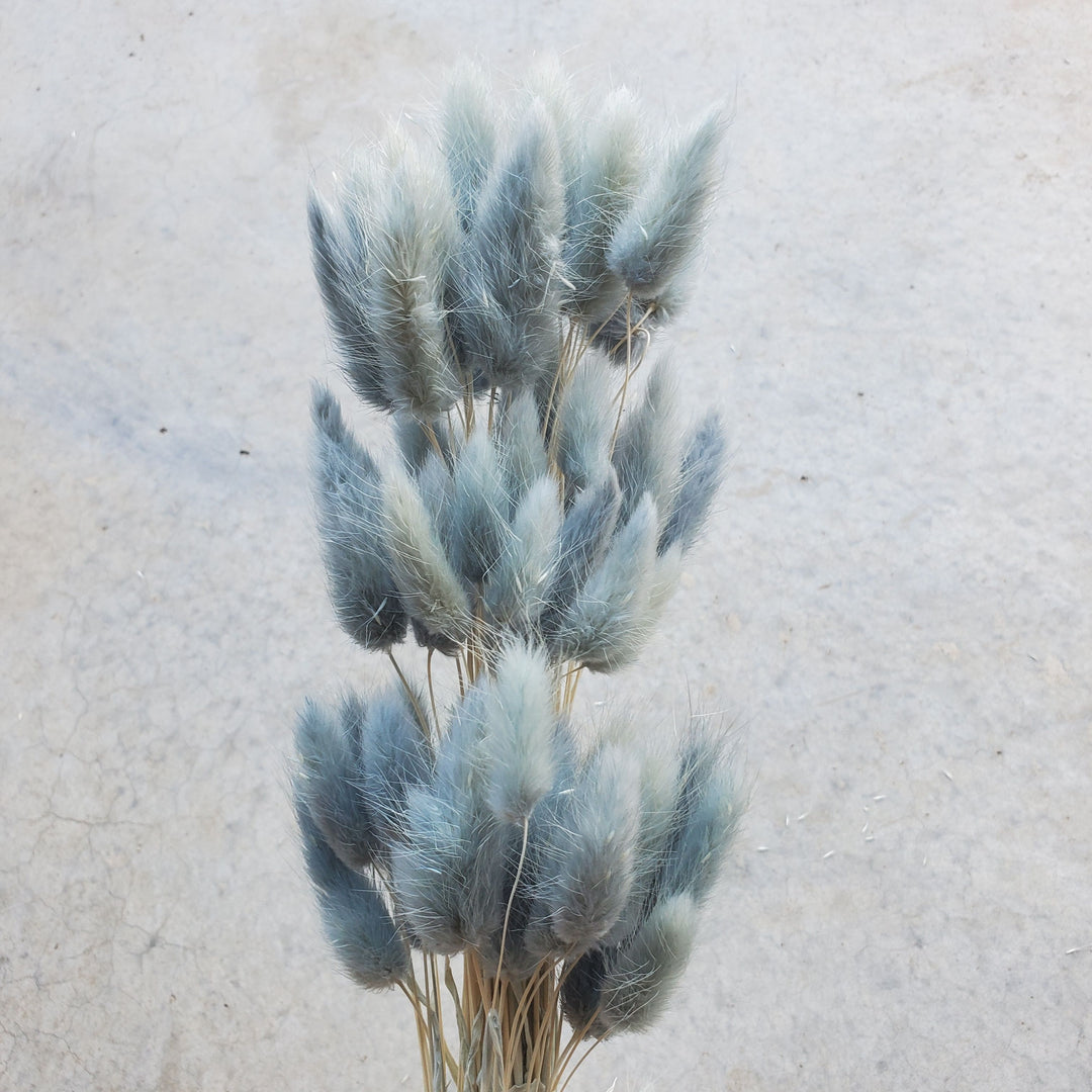 Bunny Tails - Dusty Blue-Gray