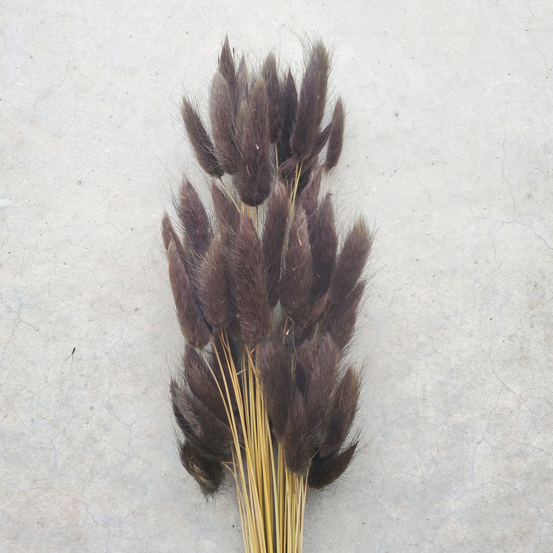 Bunny Tails - Chocolate Brown (131)
