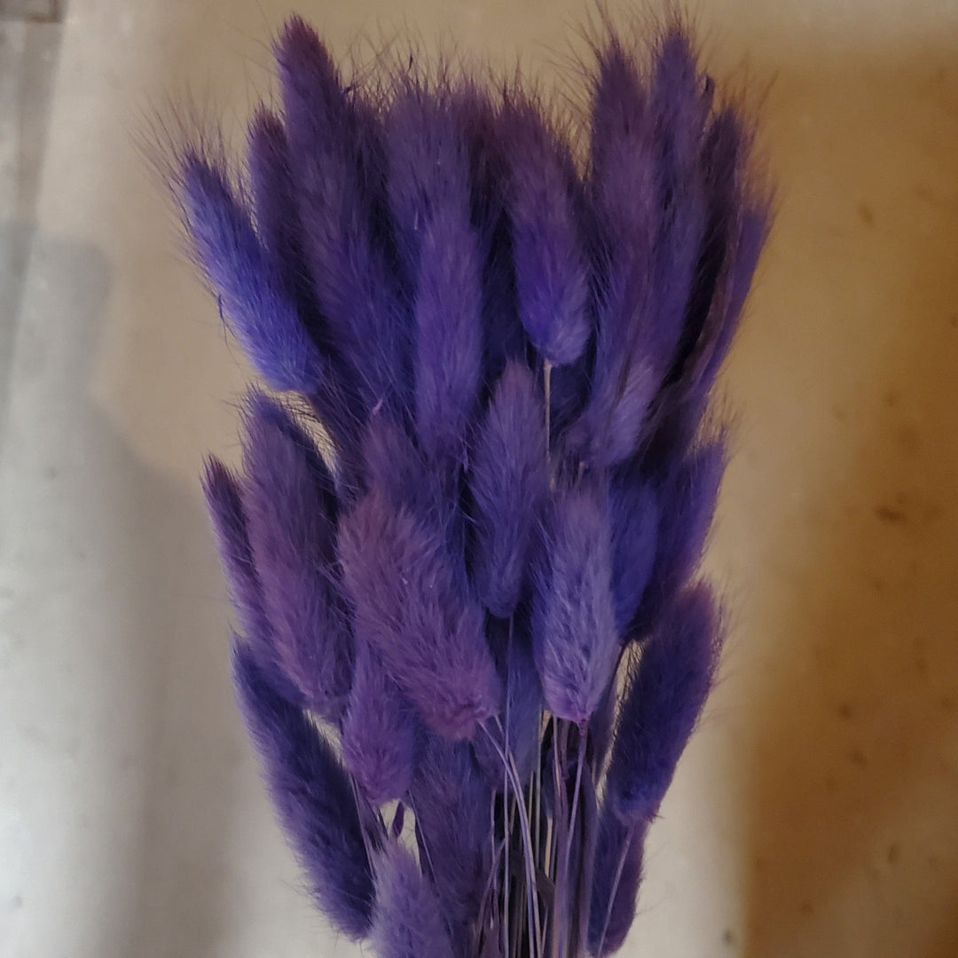 Bunny Tails - Royal Purple (019) - BLOOMINGFUL.COM - wedding, event, decor, gift, bouquet, arrangement, bridal, garland, fresh dried preserved artificial silk, birthday housewarming foliage