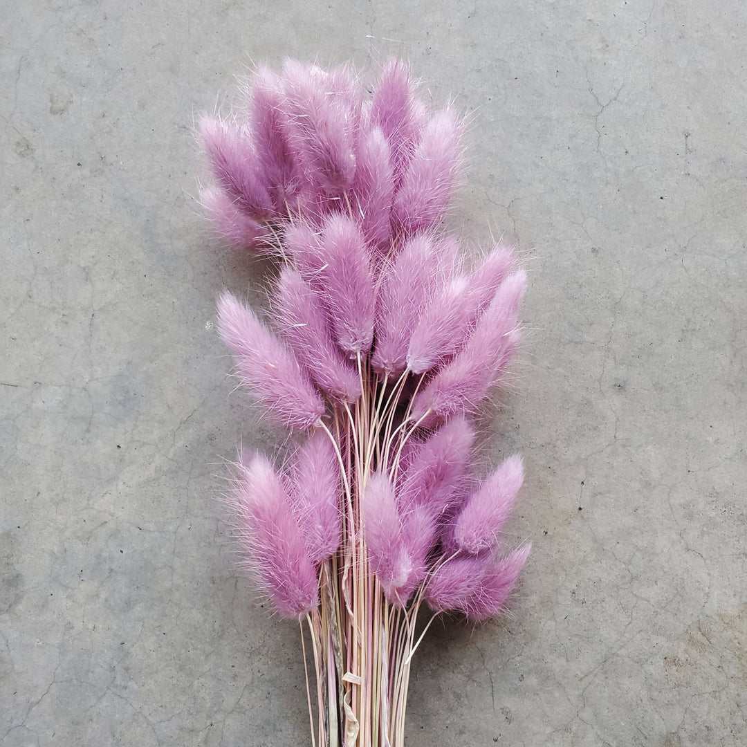 Dried Bunny Tails - Lavender Mauve (166) - BLOOMINGFUL.COM - wedding, event, decor, gift, bouquet, arrangement, bridal, garland, fresh dried preserved artificial silk, birthday housewarming foliage
