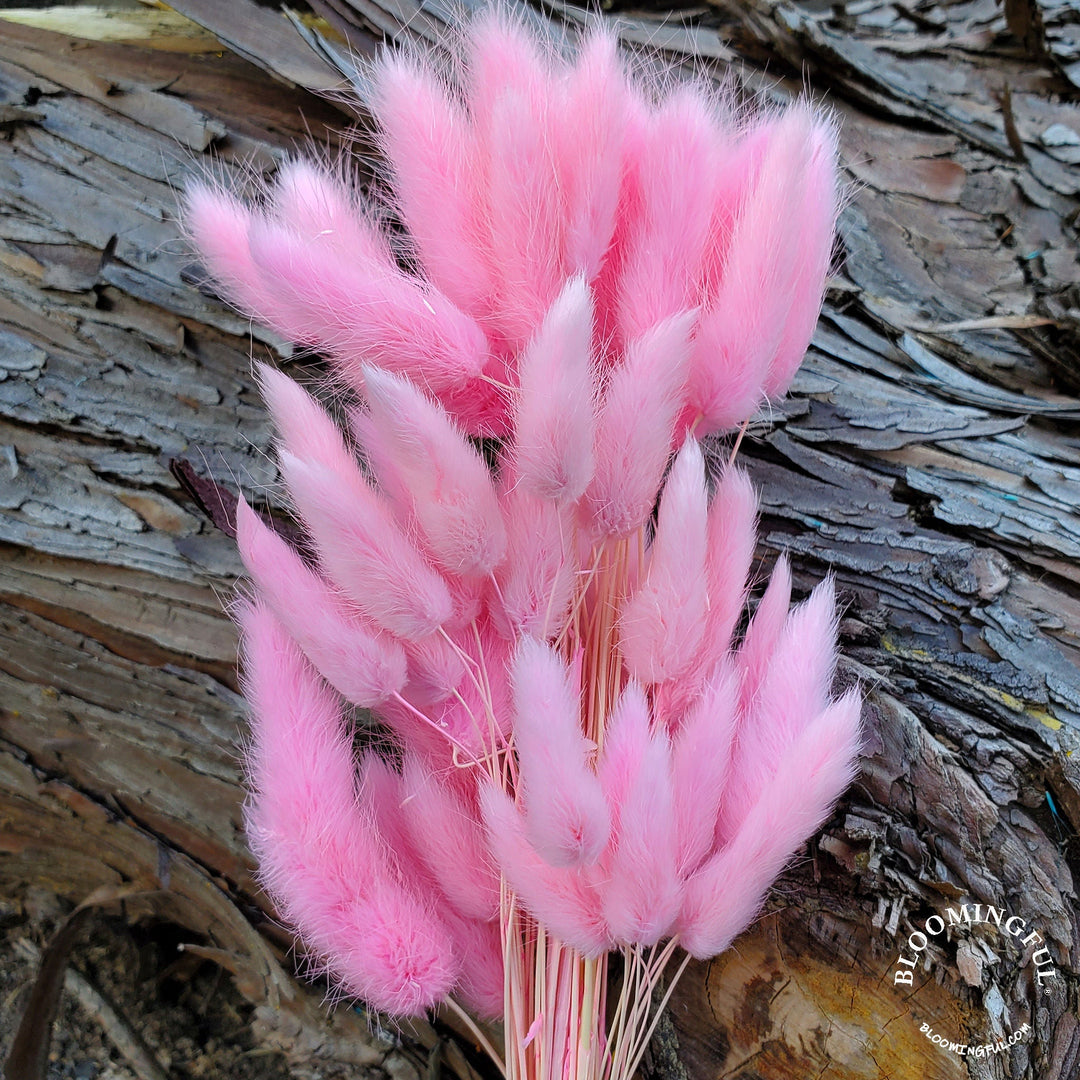 Bunny Tails - Pink (115)