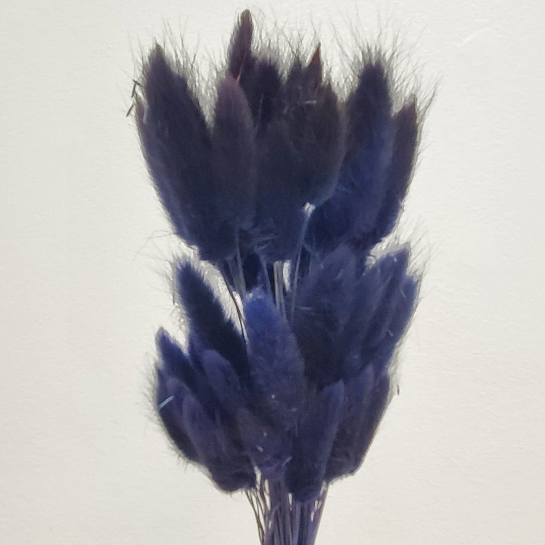 Dried Bunny Tails - Midnight Blue (036) - BLOOMINGFUL.COM - wedding, event, decor, gift, bouquet, arrangement, bridal, garland, fresh dried preserved artificial silk, birthday housewarming foliage
