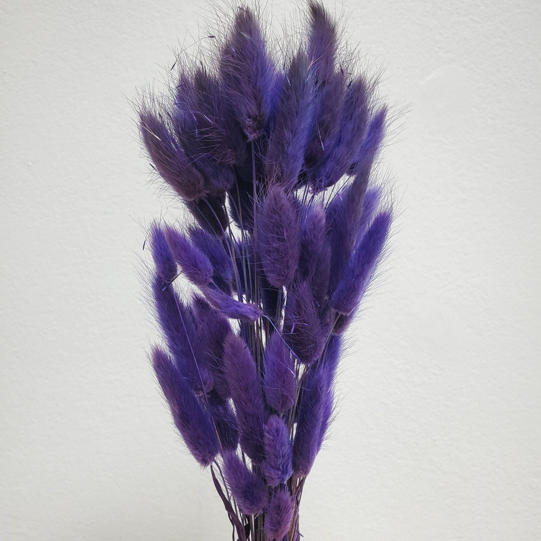 Dried Bunny Tails - Moody Purple (004) - BLOOMINGFUL.COM - wedding, event, decor, gift, bouquet, arrangement, bridal, garland, fresh dried preserved artificial silk, birthday housewarming foliage