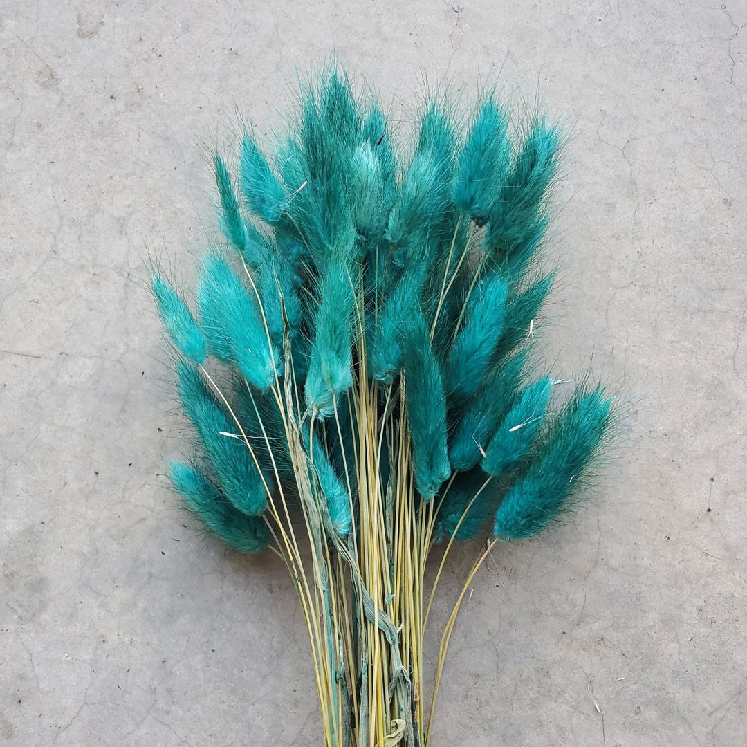 Dried Bunny Tails - Peacock Blue Teal (111) - BLOOMINGFUL.COM - wedding, event, decor, gift, bouquet, arrangement, bridal, garland, fresh dried preserved artificial silk, birthday housewarming foliage