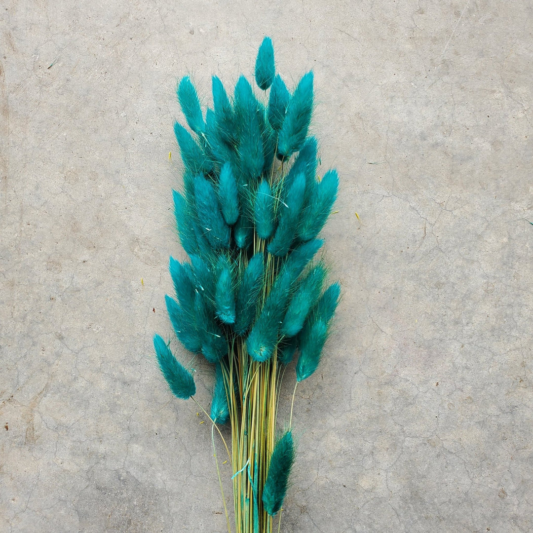 Dried Bunny Tails - Peacock Blue Teal (111) - BLOOMINGFUL.COM - wedding, event, decor, gift, bouquet, arrangement, bridal, garland, fresh dried preserved artificial silk, birthday housewarming foliage