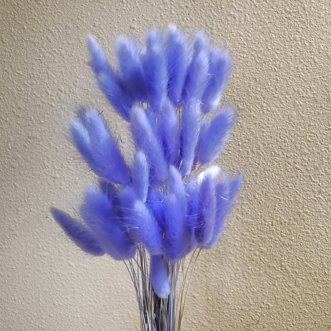 Dried Bunny Tails - Periwinkle Blue (169) - BLOOMINGFUL.COM - wedding, event, decor, gift, bouquet, arrangement, bridal, garland, fresh dried preserved artificial silk, birthday housewarming foliage