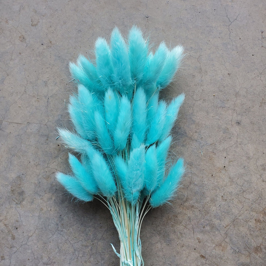 Dried Bunny Tails - Sky Blue (168) - BLOOMINGFUL.COM - wedding, event, decor, gift, bouquet, arrangement, bridal, garland, fresh dried preserved artificial silk, birthday housewarming foliage