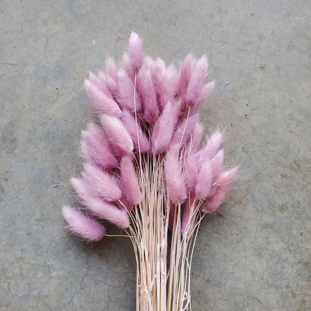 Dried Bunny Tails - Soft Lavender Mauve (162) - BLOOMINGFUL.COM - wedding, event, decor, gift, bouquet, arrangement, bridal, garland, fresh dried preserved artificial silk, birthday housewarming foliage