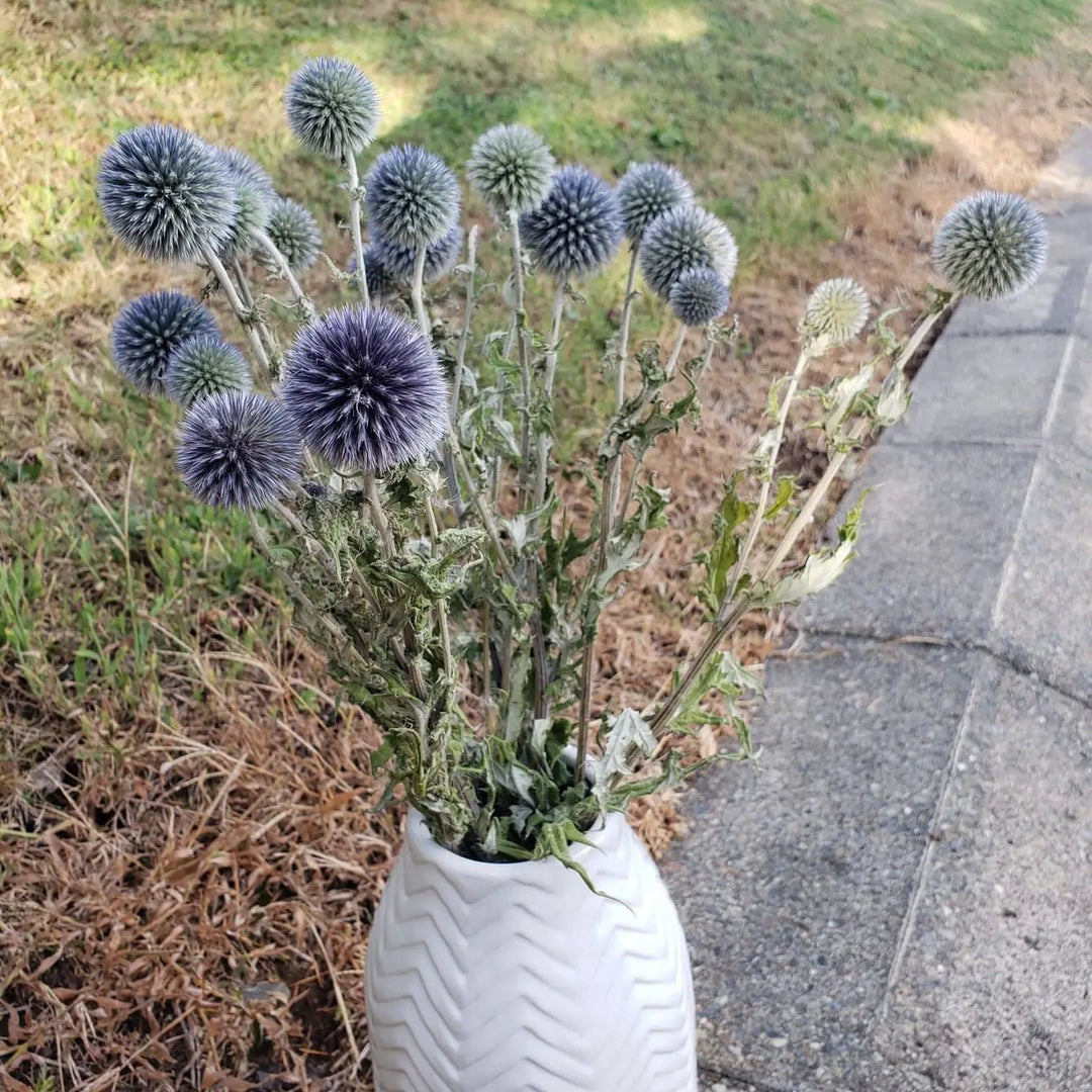 Dried Echinop Globe Thistle Flowers - Natural Blue - Gray - Sage - BLOOMINGFUL.COM - wedding, event, decor, gift, bouquet, arrangement, bridal, garland, fresh dried preserved artificial silk, birthday housewarming foliage