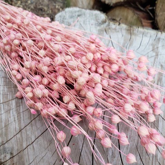 Dried Flax Linum - Soft Pink (015) - BLOOMINGFUL.COM - wedding, event, decor, gift, bouquet, arrangement, bridal, garland, fresh dried preserved artificial silk, birthday housewarming foliage