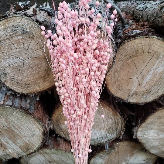 Dried Flax Linum - Soft Pink (015) - BLOOMINGFUL.COM - wedding, event, decor, gift, bouquet, arrangement, bridal, garland, fresh dried preserved artificial silk, birthday housewarming foliage