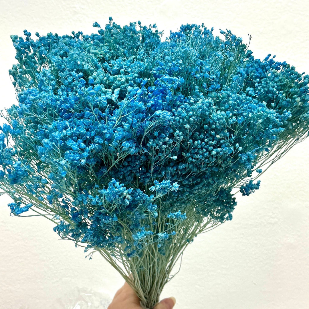 Dried Gypsy Blooms (Baby's Breath Alternative) - Blue (04) - BLOOMINGFUL.COM - wedding, event, decor, gift, bouquet, arrangement, bridal, garland, fresh dried preserved artificial silk, birthday housewarming foliage