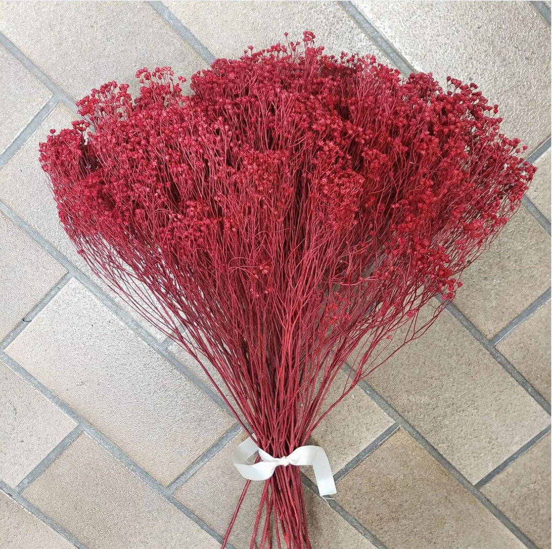 Dried Gypsy Blooms (Baby's Breath Alternative) - Burgundy Red (09) - BLOOMINGFUL.COM - wedding, event, decor, gift, bouquet, arrangement, bridal, garland, fresh dried preserved artificial silk, birthday housewarming foliage