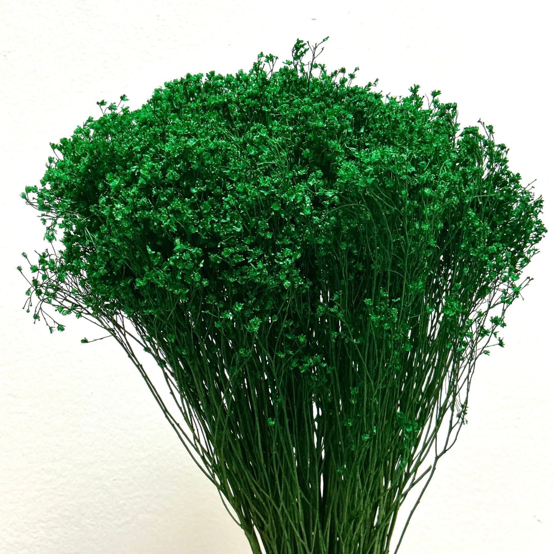 Dried Gypsy Blooms (Baby's Breath Alternative) - Emerald Green (05) - BLOOMINGFUL.COM - wedding, event, decor, gift, bouquet, arrangement, bridal, garland, fresh dried preserved artificial silk, birthday housewarming foliage