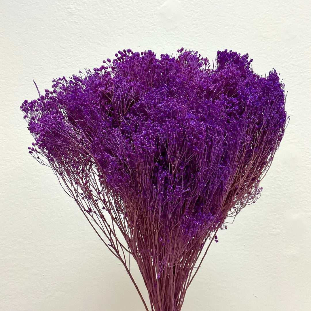 Dried Gypsy Blooms (Baby's Breath Alternative) - Purple (08) - BLOOMINGFUL.COM - wedding, event, decor, gift, bouquet, arrangement, bridal, garland, fresh dried preserved artificial silk, birthday housewarming foliage