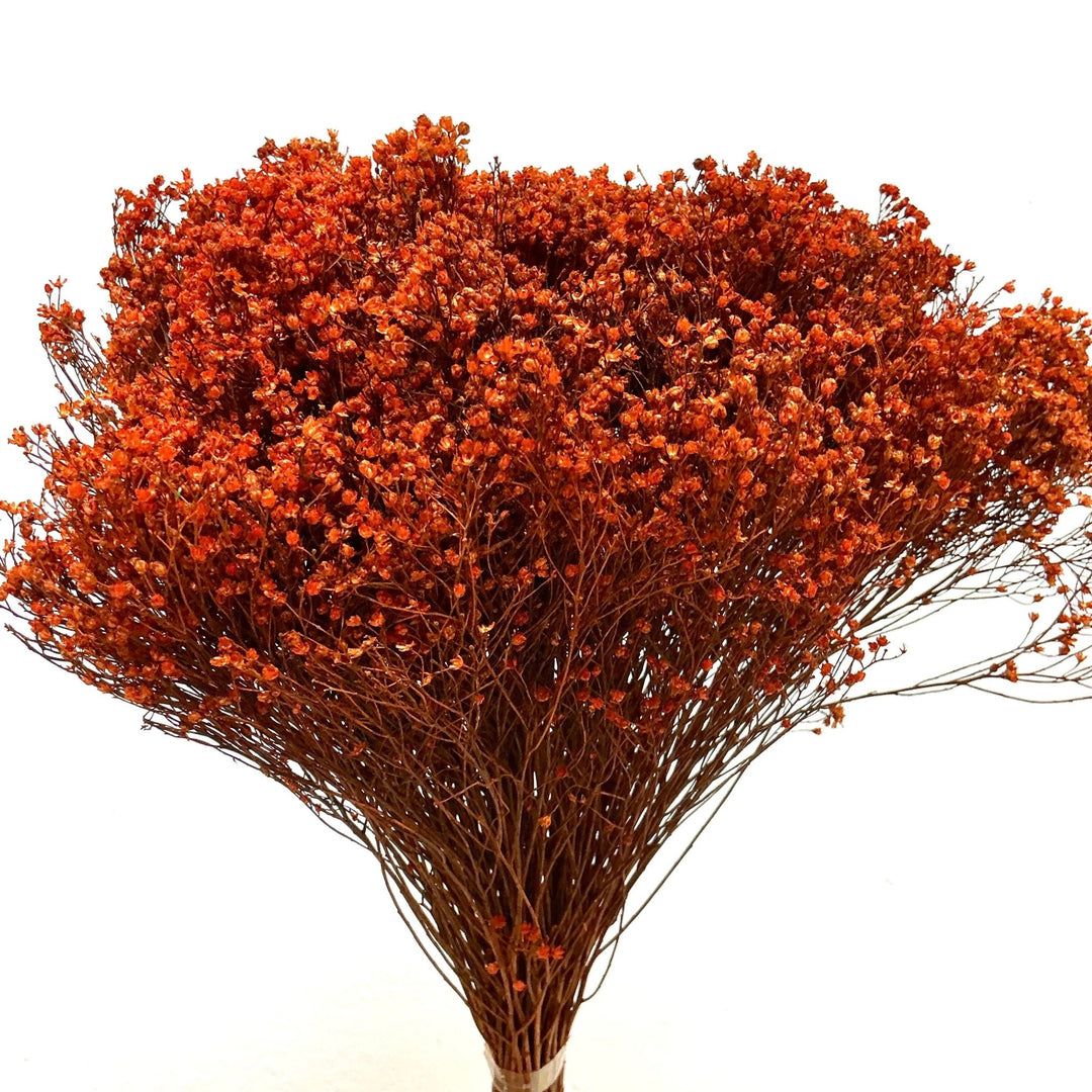 Dried Gypsy Blooms (Baby's Breath Alternative) - Terracotta Orange (06) - BLOOMINGFUL.COM - wedding, event, decor, gift, bouquet, arrangement, bridal, garland, fresh dried preserved artificial silk, birthday housewarming foliage