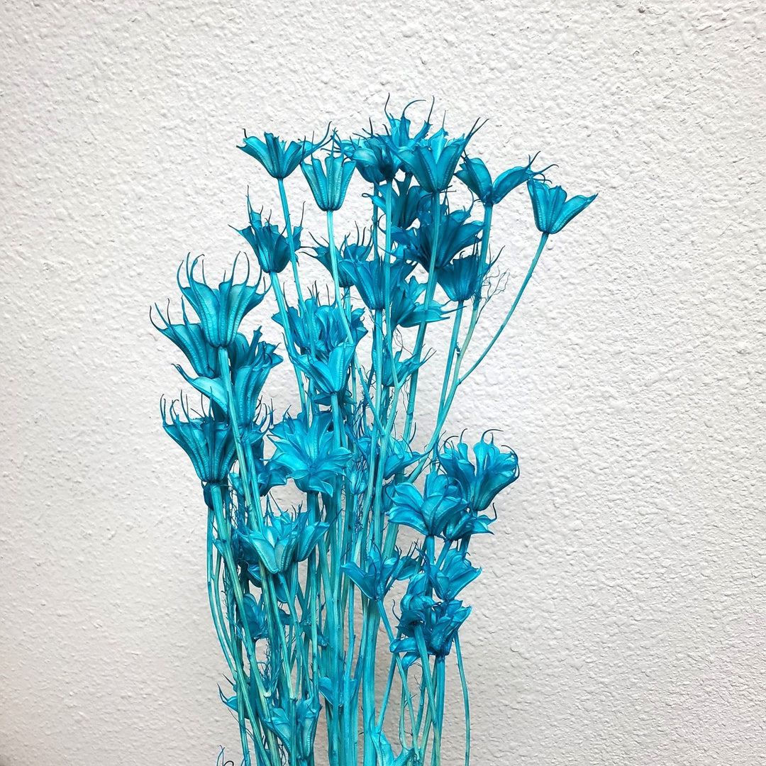 Dried Nigella Flowers - Blue (029) - BLOOMINGFUL.COM - wedding, event, decor, gift, bouquet, arrangement, bridal, garland, fresh dried preserved artificial silk, birthday housewarming foliage