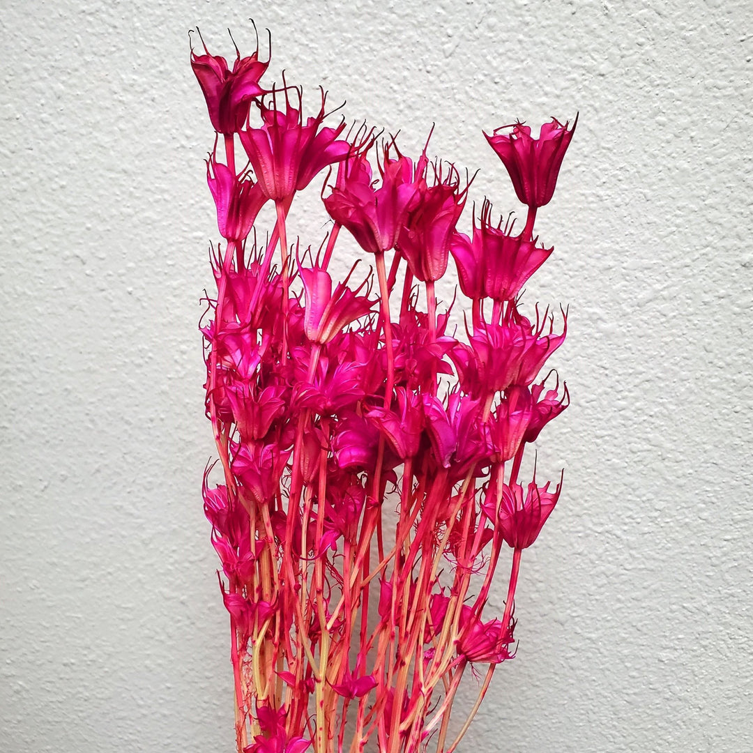 Dried Nigella Flowers - Hot Magenta Pink (003) - BLOOMINGFUL.COM - wedding, event, decor, gift, bouquet, arrangement, bridal, garland, fresh dried preserved artificial silk, birthday housewarming foliage