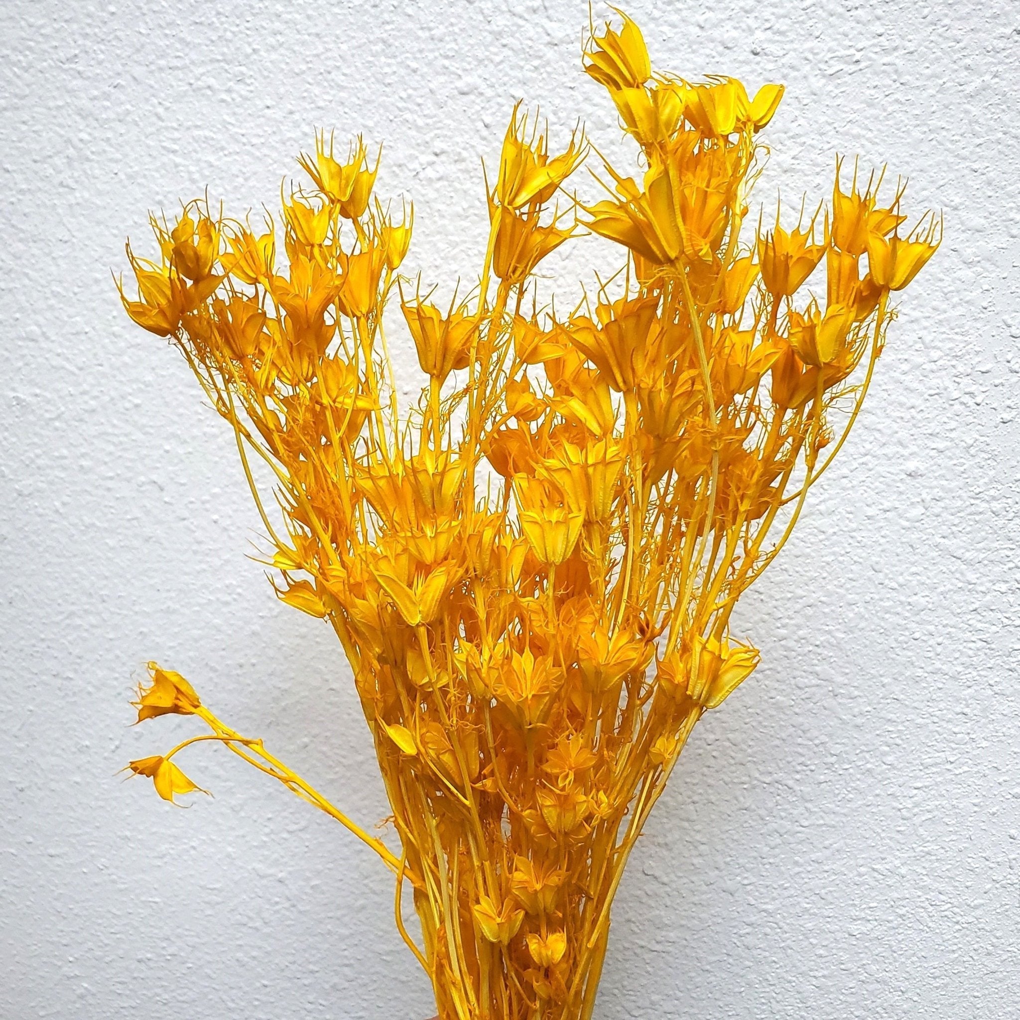Dried Nigella Flowers - Mustard Yellow - Orange (033) - BLOOMINGFUL.COM - wedding, event, decor, gift, bouquet, arrangement, bridal, garland, fresh dried preserved artificial silk, birthday housewarming foliage
