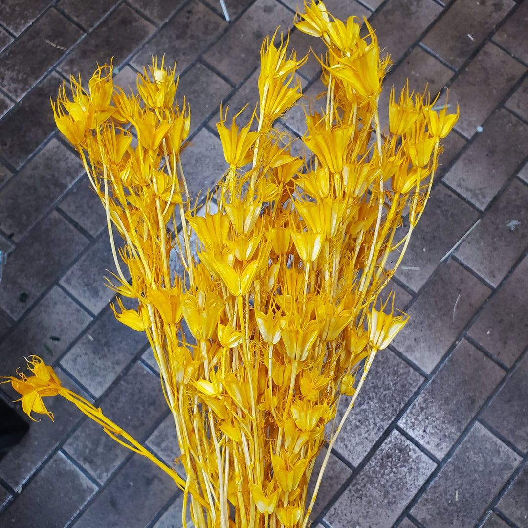 Dried Nigella Flowers - Mustard Yellow - Orange (033) - BLOOMINGFUL.COM - wedding, event, decor, gift, bouquet, arrangement, bridal, garland, fresh dried preserved artificial silk, birthday housewarming foliage