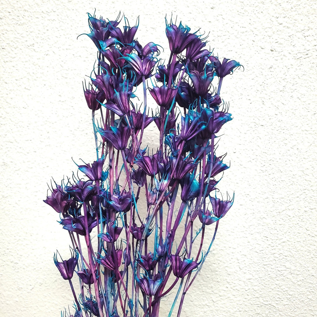 Dried Nigella Flowers - Unicorn Purple - Blue (009) - BLOOMINGFUL.COM - wedding, event, decor, gift, bouquet, arrangement, bridal, garland, fresh dried preserved artificial silk, birthday housewarming foliage