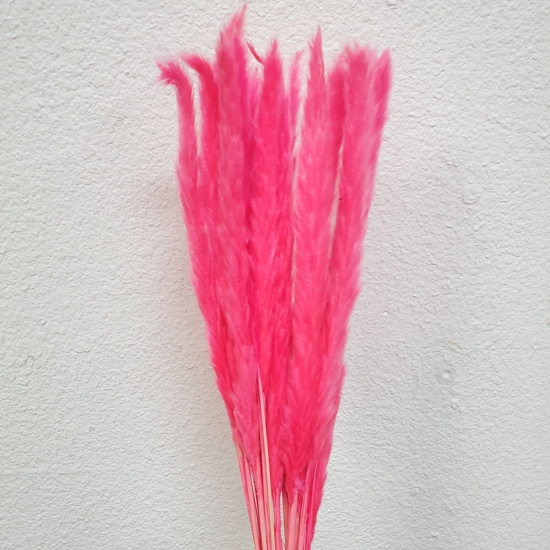 Dried Pampas Grass, Small 20 - 28" - Hot Pink (119) - BLOOMINGFUL.COM - wedding, event, decor, gift, bouquet, arrangement, bridal, garland, fresh dried preserved artificial silk, birthday housewarming foliage