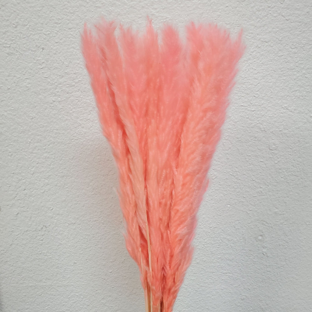 Dried Pampas Grass, Small 20 - 28" - Pink (103) - BLOOMINGFUL.COM - wedding, event, decor, gift, bouquet, arrangement, bridal, garland, fresh dried preserved artificial silk, birthday housewarming foliage