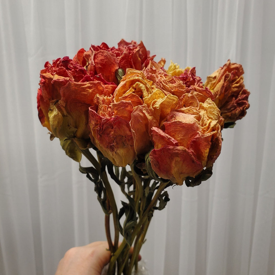 Dried Peonies - Apricot - BLOOMINGFUL.COM - wedding, event, decor, gift, bouquet, arrangement, bridal, garland, fresh dried preserved artificial silk, birthday housewarming foliage