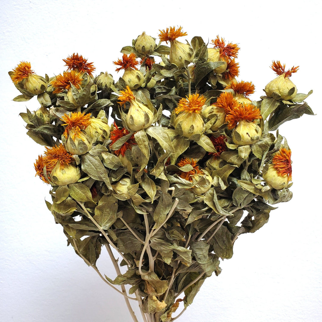 Dried Safflowers (4oz) - BLOOMINGFUL.COM - wedding, event, decor, gift, bouquet, arrangement, bridal, garland, fresh dried preserved artificial silk, birthday housewarming foliage