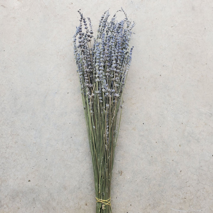 Dried Tall English Lavender - BLOOMINGFUL.COM - wedding, event, decor, gift, bouquet, arrangement, bridal, garland, fresh dried preserved artificial silk, birthday housewarming foliage