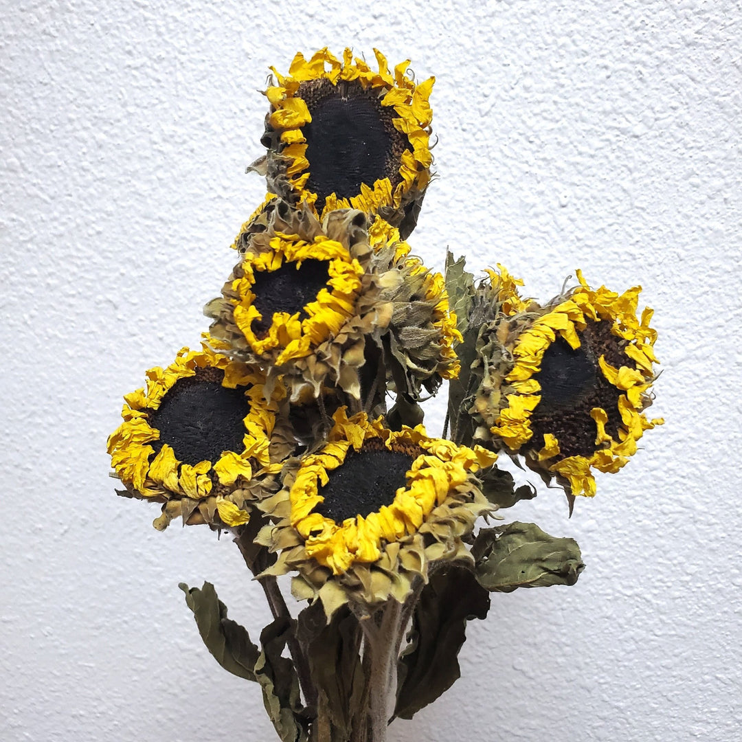Dried Yellow Sunflowers (4oz) - BLOOMINGFUL.COM - wedding, event, decor, gift, bouquet, arrangement, bridal, garland, fresh dried preserved artificial silk, birthday housewarming foliage