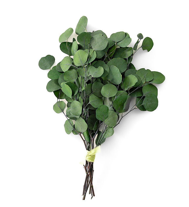 Eucalyptus Glamour Bouquet