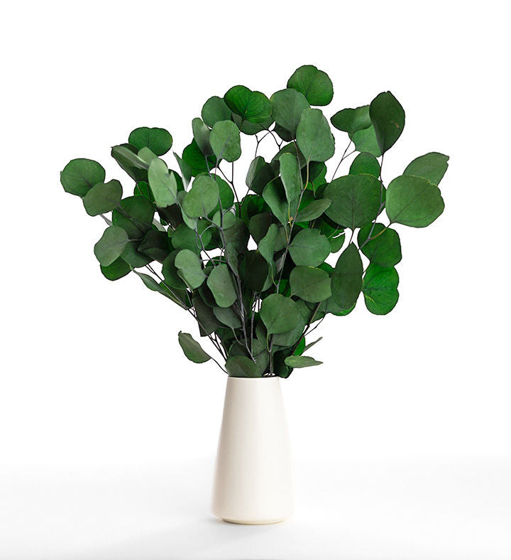 Eucalyptus Glamour Bouquet