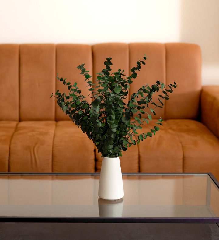 Eucalyptus Spires bouquet in an ivory vase on a glass coffee table before a tan sofa