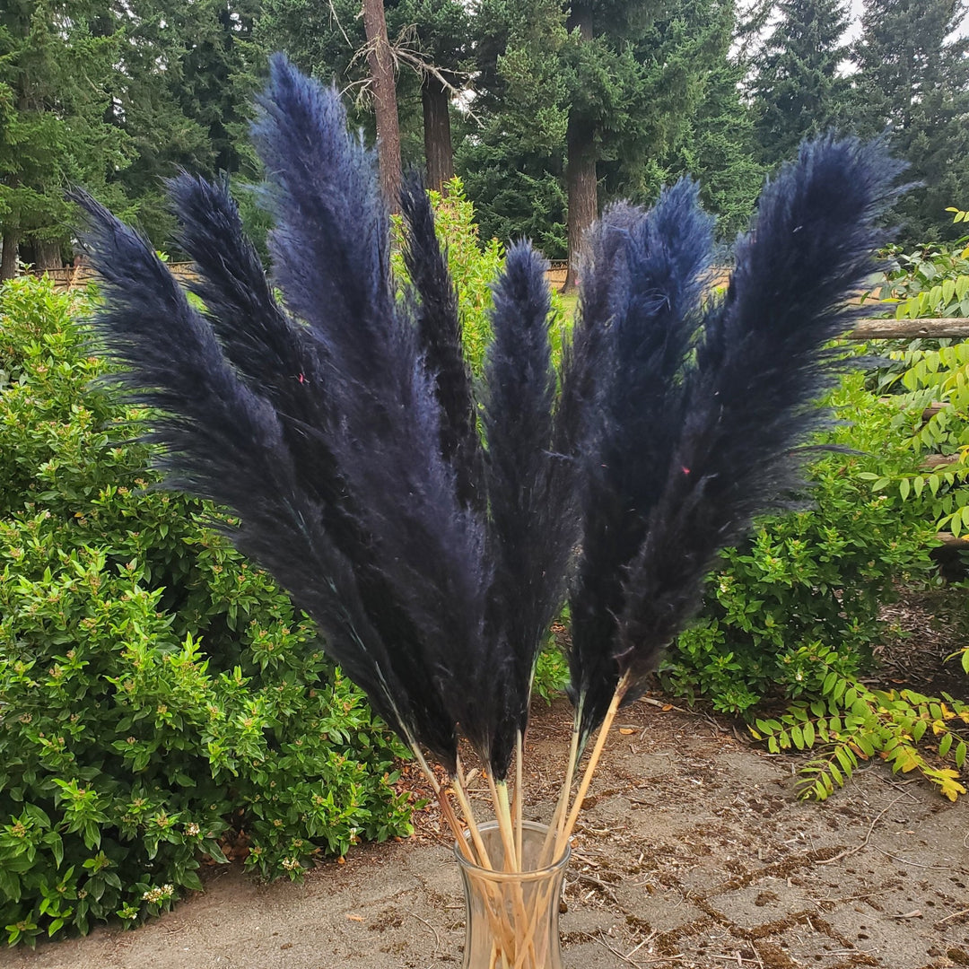 Large Pampas Grass (3ft) - Black (679) - BLOOMINGFUL.COM - wedding, event, decor, gift, bouquet, arrangement, bridal, garland, fresh dried preserved artificial silk, birthday housewarming foliage