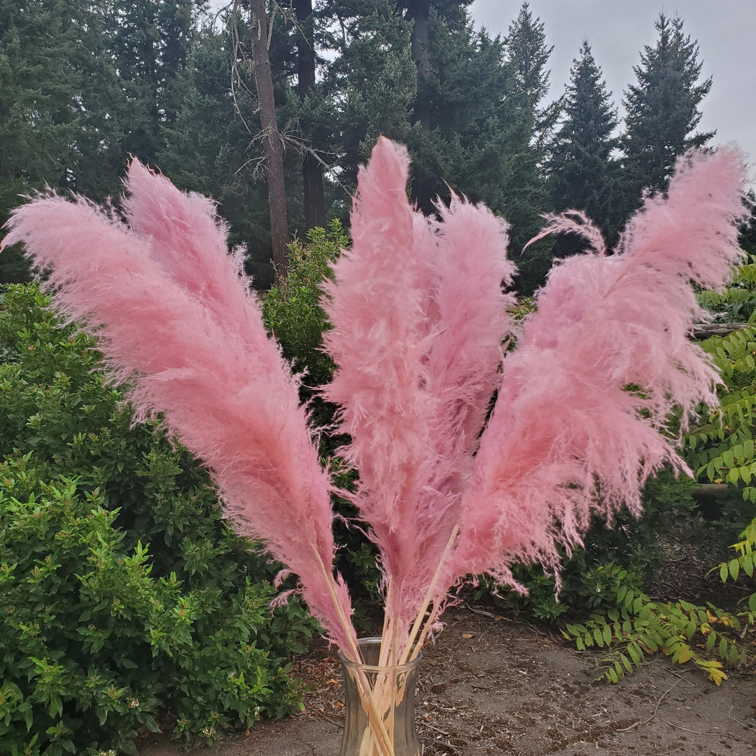 Large Pampas Grass (3ft) - Dusty Pink Mauve (684) - BLOOMINGFUL.COM - wedding, event, decor, gift, bouquet, arrangement, bridal, garland, fresh dried preserved artificial silk, birthday housewarming foliage
