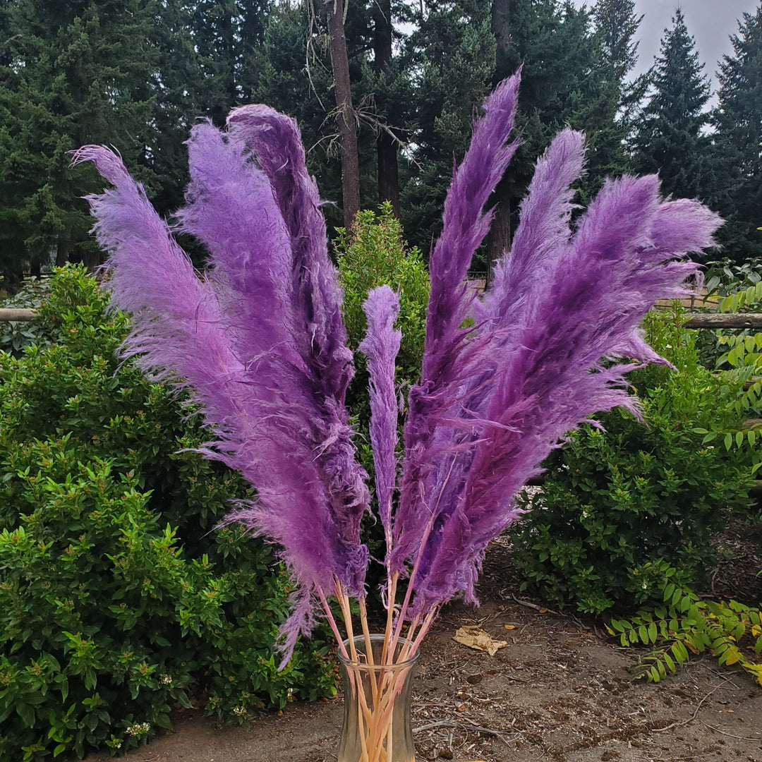 Large Pampas Grass (3ft) - Purple (667) - BLOOMINGFUL.COM - wedding, event, decor, gift, bouquet, arrangement, bridal, garland, fresh dried preserved artificial silk, birthday housewarming foliage