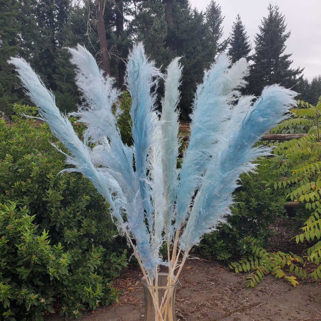 Large Pampas Grass (3ft) - Soft Blue (678) - BLOOMINGFUL.COM - wedding, event, decor, gift, bouquet, arrangement, bridal, garland, fresh dried preserved artificial silk, birthday housewarming foliage