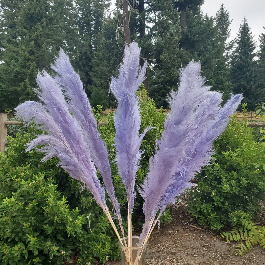 Large Pampas Grass (3ft) - Soft Purple (654) - BLOOMINGFUL.COM - wedding, event, decor, gift, bouquet, arrangement, bridal, garland, fresh dried preserved artificial silk, birthday housewarming foliage