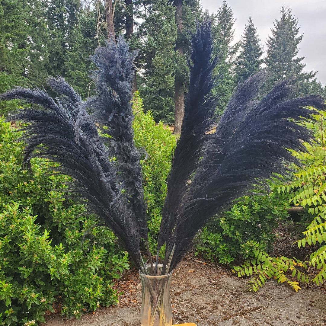No - Shed Silky Large Pampas (3 - 4ft) - Black (712) - BLOOMINGFUL.COM - wedding, event, decor, gift, bouquet, arrangement, bridal, garland, fresh dried preserved artificial silk, birthday housewarming foliage