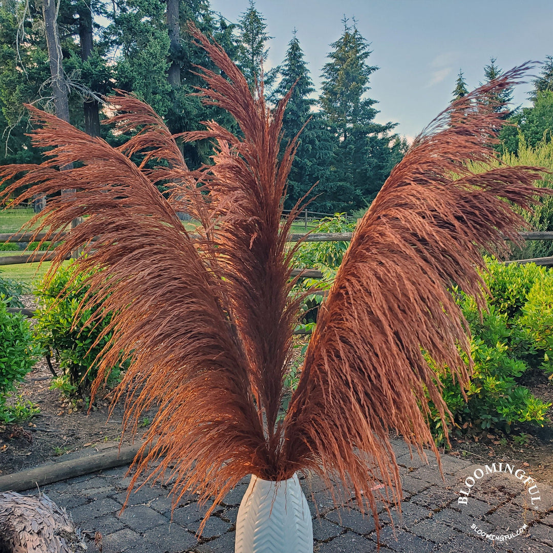 No - Shed Silky Large Pampas (3 - 4ft) - Bronzed Copper - BLOOMINGFUL.COM - wedding, event, decor, gift, bouquet, arrangement, bridal, garland, fresh dried preserved artificial silk, birthday housewarming foliage