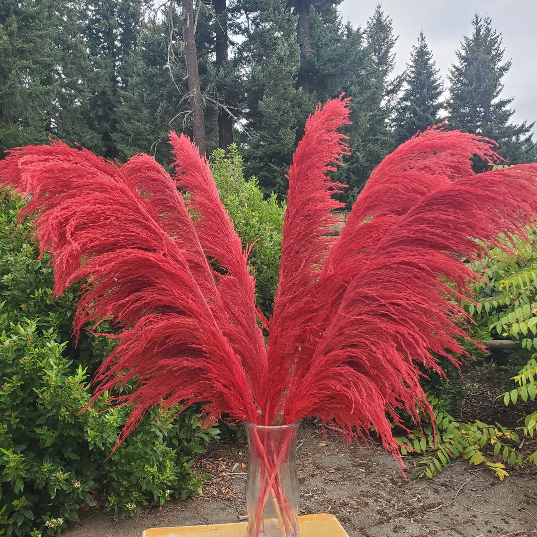 No - Shed Silky Large Pampas (3 - 4ft) - Deep Red (715) - BLOOMINGFUL.COM - wedding, event, decor, gift, bouquet, arrangement, bridal, garland, fresh dried preserved artificial silk, birthday housewarming foliage