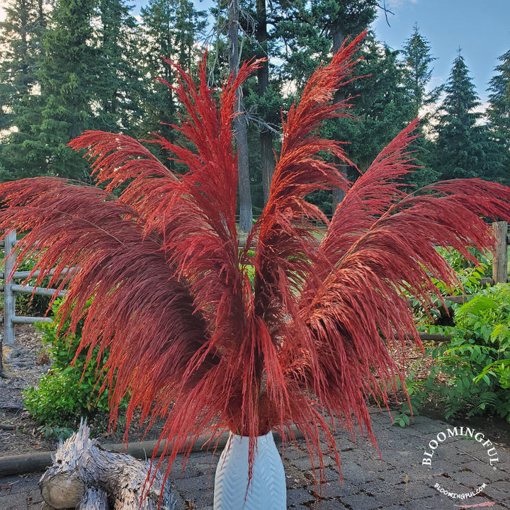 No - Shed Silky Large Pampas (3 - 4ft) - Deep Rust Red - BLOOMINGFUL.COM - wedding, event, decor, gift, bouquet, arrangement, bridal, garland, fresh dried preserved artificial silk, birthday housewarming foliage