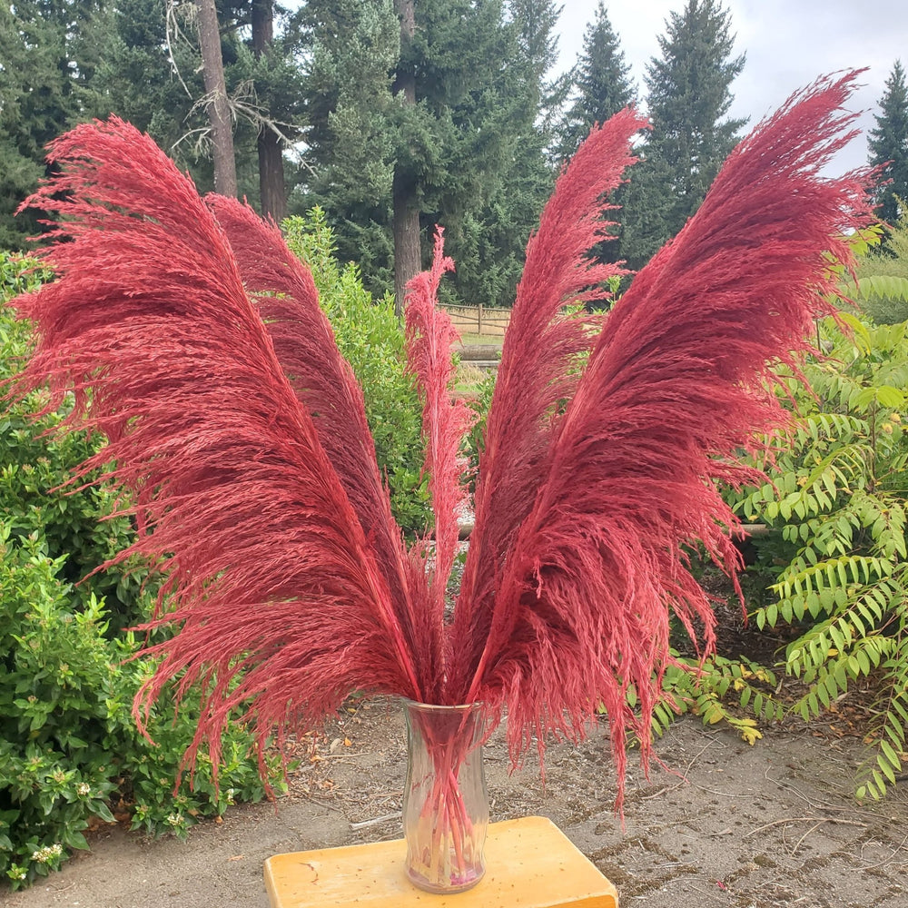 No - Shed Silky Large Pampas (3 - 4ft) - Deep Rust Red (706) - BLOOMINGFUL.COM - wedding, event, decor, gift, bouquet, arrangement, bridal, garland, fresh dried preserved artificial silk, birthday housewarming foliage