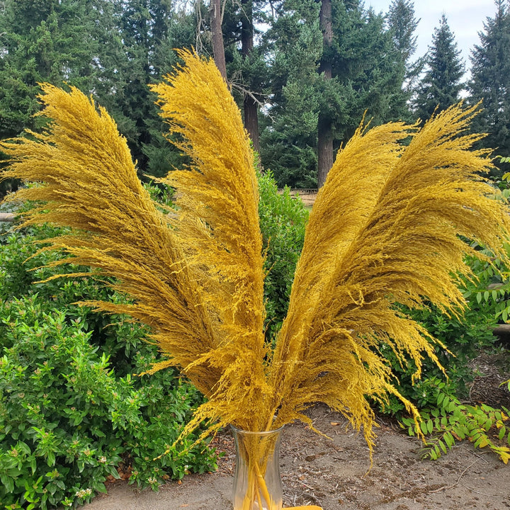 No - Shed Silky Large Pampas (3 - 4ft) - Golden Yellow (709) - BLOOMINGFUL.COM - wedding, event, decor, gift, bouquet, arrangement, bridal, garland, fresh dried preserved artificial silk, birthday housewarming foliage